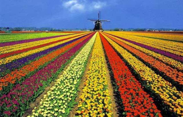 Vakantiehuis Katwijk 카트베이크안제이 외부 사진